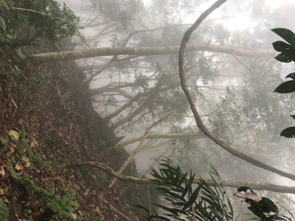 鳥嘴山（上島2708541