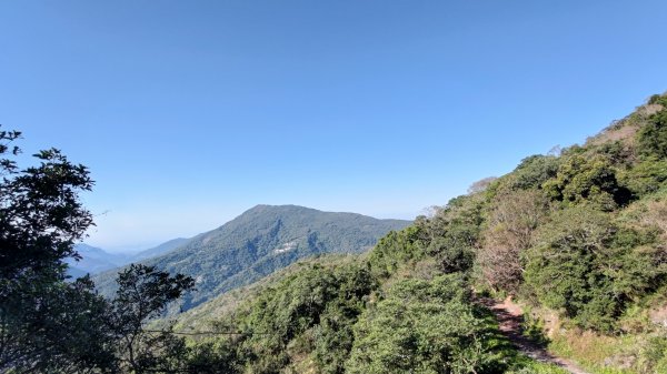 大母母山、麻留賀山1541719