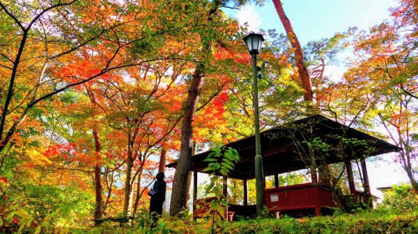 岩手縣嚴美溪2930221