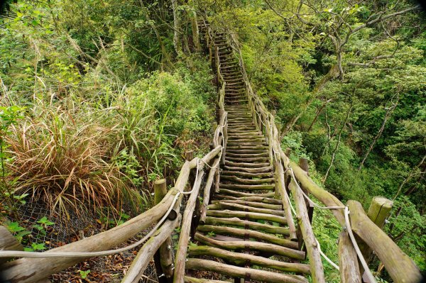 臺中 新社 頭嵙山、黑山、石苓湖山3047662