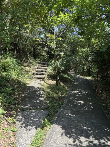 紅淡山3043539