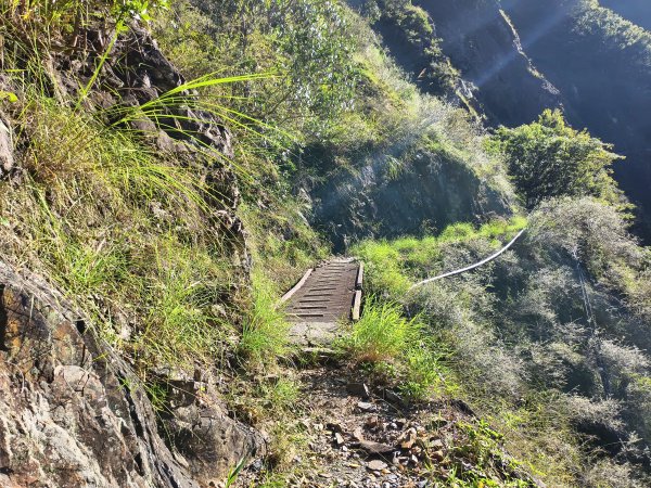 [玉山尋寶任務-07/12] 2025_0824 八通關雲龍瀑布步道2870645