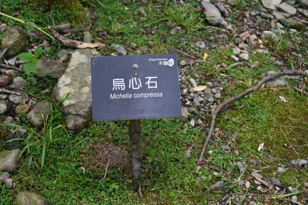 2025_0712 福山植物園2836307