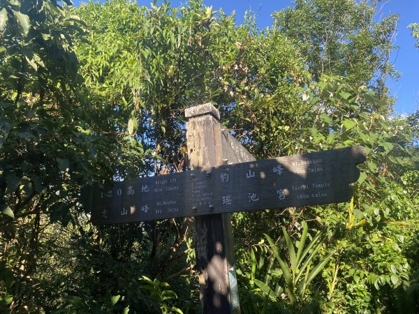 【四獸山 Short】虎豹象先行！獅山封閉中，等新步道開箱再相見2888806