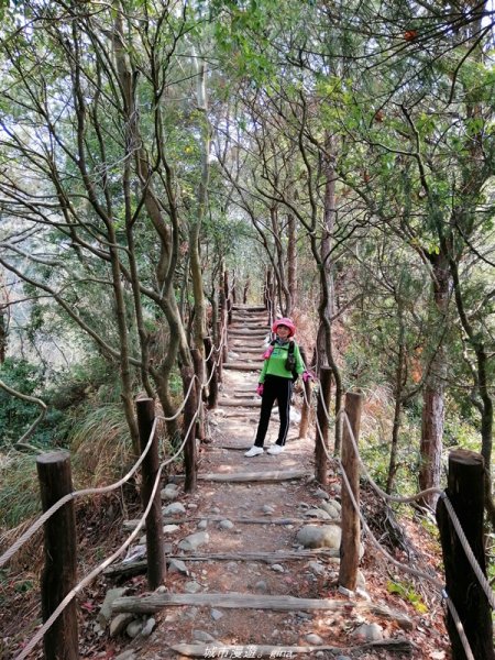 【台中。北屯】台灣百大必訪步道。 大坑四號步道1338781