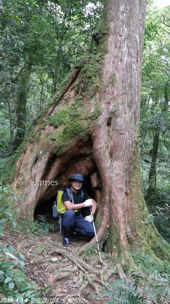 20180414安安登山隊_北插天山419307