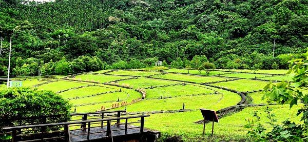 不用跑到宜蘭！台北市山上竟然還有美麗大草原，南港山水綠生態公園之旅