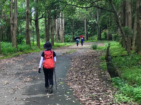 一江橋河堤道上三汀山370464