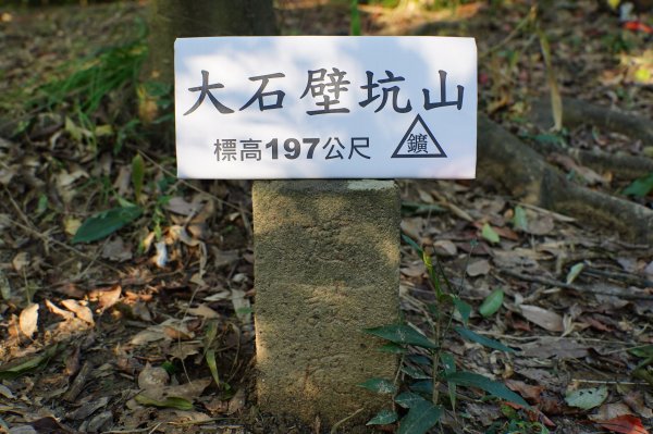 新北 貢寮 大石壁坑山、五酒桶山、龍崗山2980856