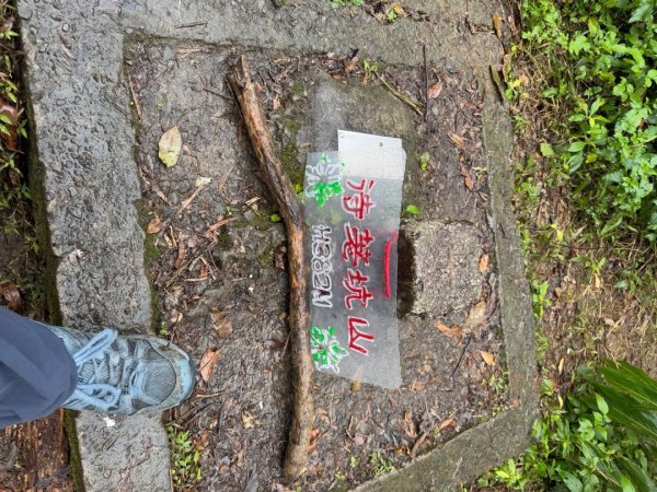 2025元旦 新店獅頭山（小獅山）順遊 高麗坑山，員潭子坑山，待荖坑山，樟湖山，樟山 出政大2680983
