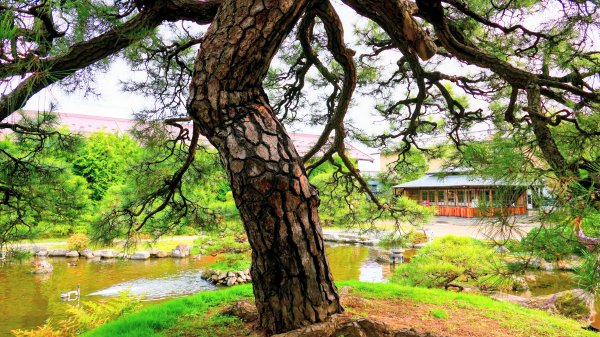 青森縣津輕藩睡魔村2929962