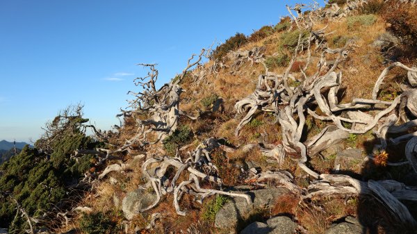 雪山主東峰登山健行趣(百岳02號＆74號)1882724