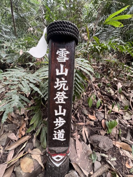 雪山坑環線步道3023313