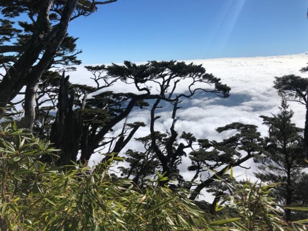 我的第一座百岳⋯北大武單攻502811