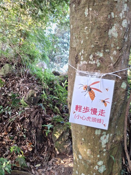 關西赤柯山+東西獅頭山+馬福山+玉山O型2670807