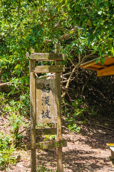 [高雄]壽山遊猴群動物園2580362