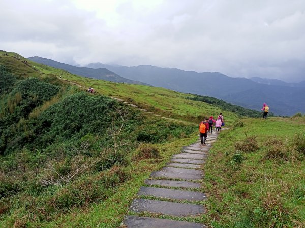 【新北-臺灣百大必訪步道】灣坑頭山→福德山→桃源谷草嶺線→大溪線→蕃薯寮山→大溪火車站1524609