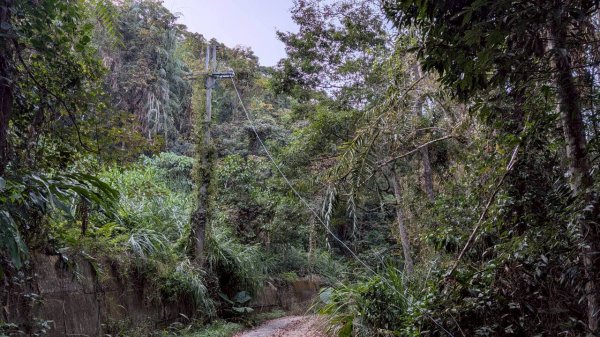 大橫屏山步道2977363