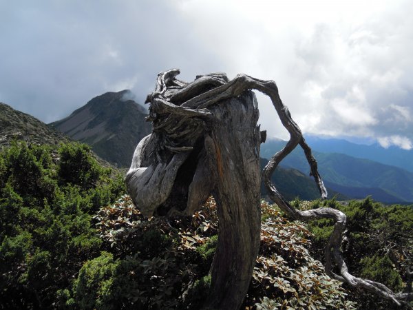 南湖群峰_南湖大山_南湖東峰__南湖北山_審馬陣山_多加屯山201408271960104