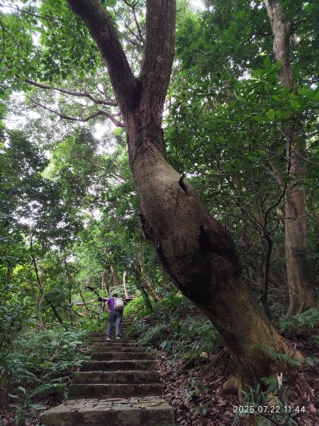 天母古道、西門町、艋舺青山宮、剝皮寮、龍山寺2844586