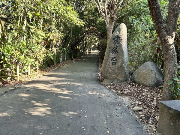 坑內坑森林步道2957405