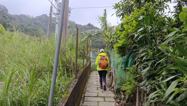 (姨婆趴趴走)第四十七集:新北土城大暖坑山等諸峰攀登連走2738736