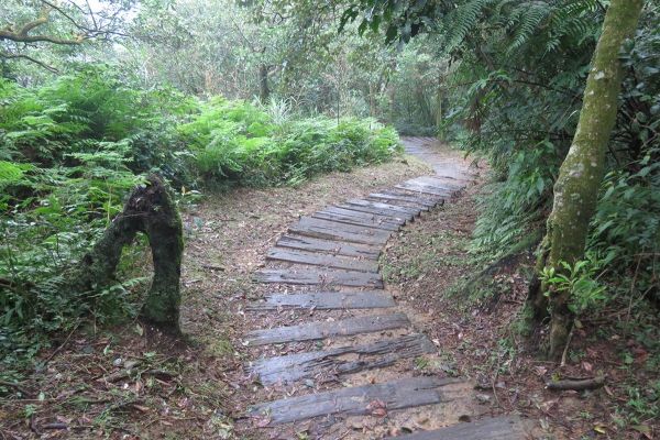 姜子寮山步道225175