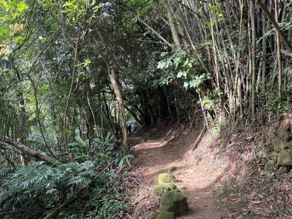 [皮皮獅探險隊-01/10] 2025_0706 六寮古道2830730