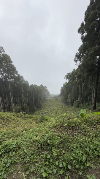 油羅山~迷霧森林2227007