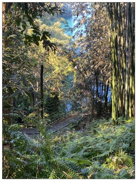 頭社山主峰及基點峰(社頭山)2681603