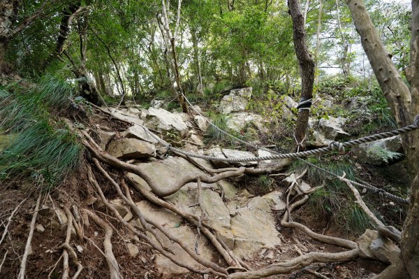臺中 和平 屋我尾山、十文溪山2699441