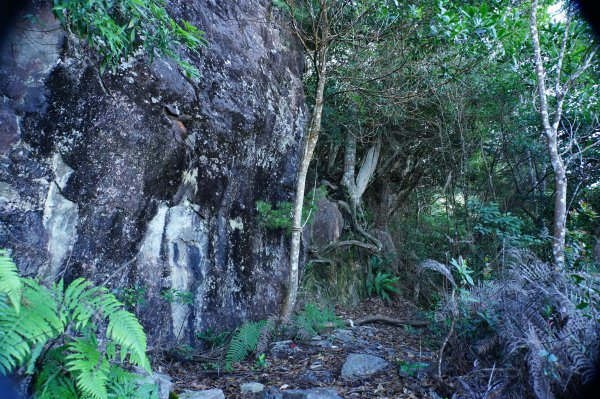 台中 和平 南松鶴山、八仙山、東松鶴山2877939