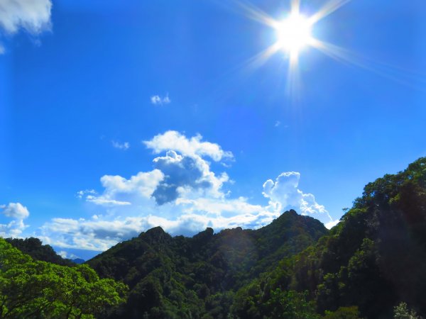 【平溪 】季節限定的朝聖之旅，豔紅鹿子百合綻放1805956