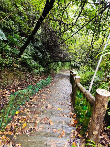 2025臺北大縱走第七段：世界山莊至飛龍步道政大後山2924015