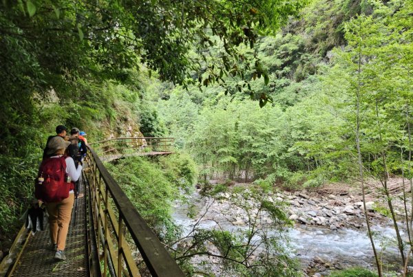 【百岳】志佳陽大山2779738