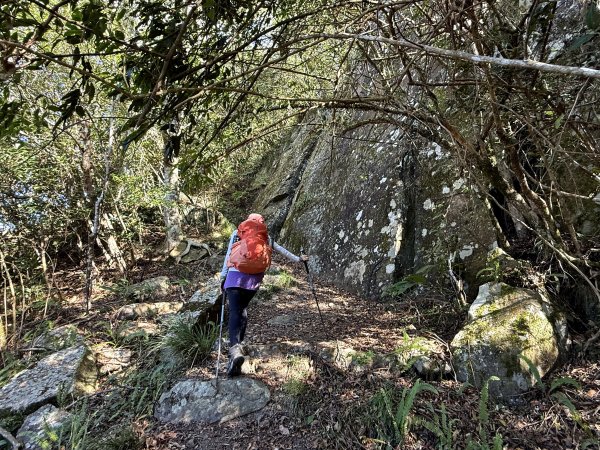 騰龍山-橫龍古道-橫龍山 202411232652990