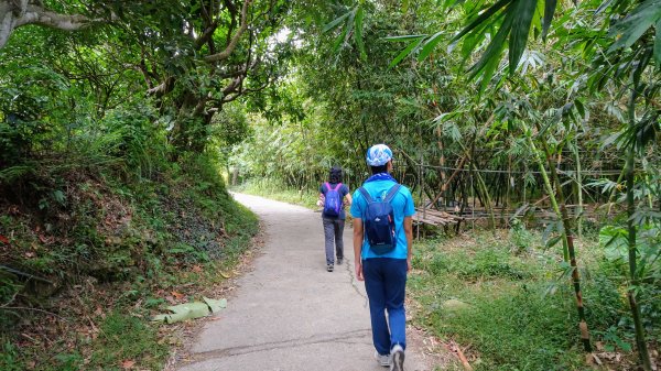 今天，我想來點飛鳳山，叮咚。1142037