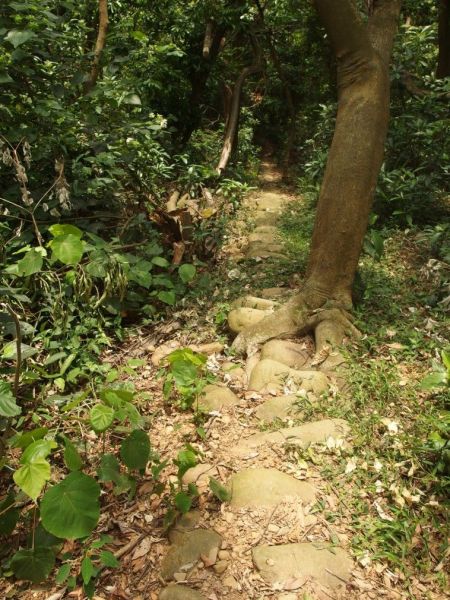 挑水古道。碧山古道102463