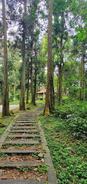 2024-05-19溪頭自然教育園區2508027