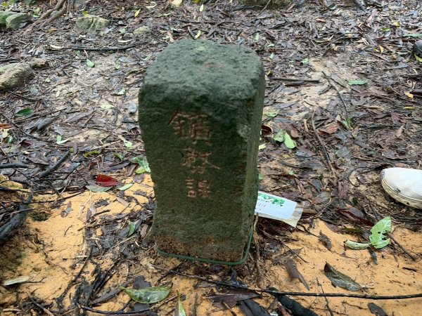 新北 汐止 柯子林橋-柯子林天然泳池-友蚋山南峰-友蚋山-新山-夢湖-柯子林橋2988380