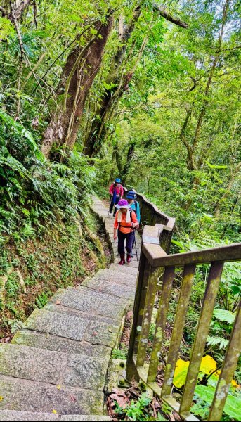 南港山(小百岳#13)/中華科技大學南港山來回2938338
