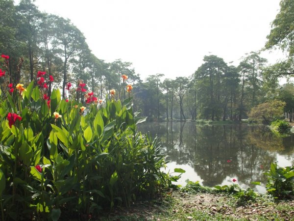 大東溼地公園1140715