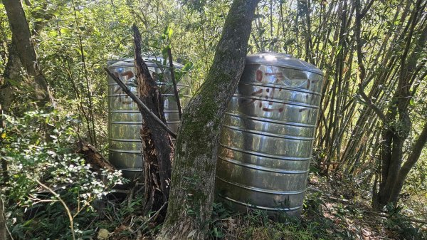 20250925柑子坑山動01-動04-市929-市582894937