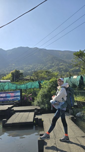 2025竹子湖海芋季美不勝收，最受歡迎的國家公園陽明山國家公園，親子皆宜，適合各式玩家2747618