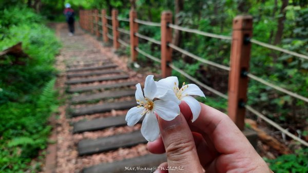 《彰化》古意人文｜員林18觀音O繞大峰巷挑水古道202504122759466