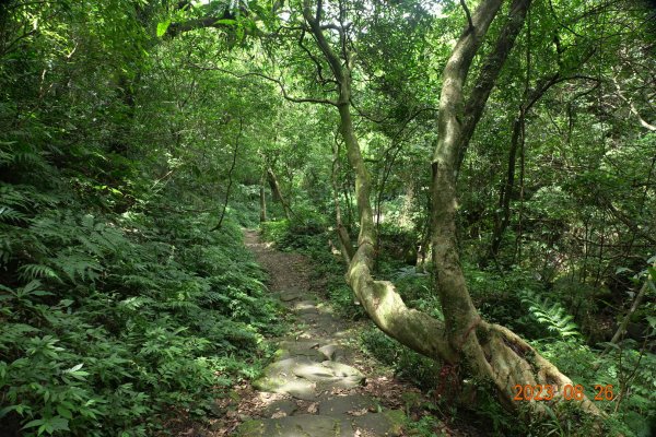 基隆 頂寮山、龍門山、五分山、頂子寮山2265993