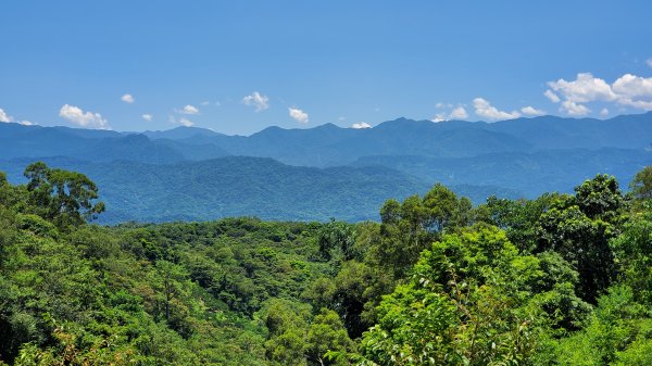 石牛山 鹿寮坑步道 仁和步道1775750