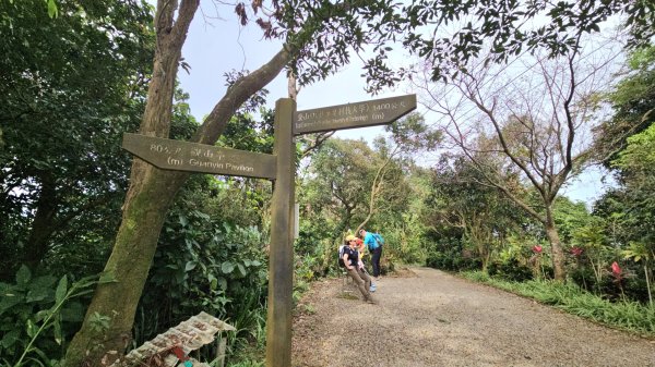 圓通寺烘爐地登山步道大O走3006996
