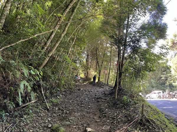 [山頂鳥40周年會員大縱走-06/15] 2024_0707 長壽山(肥崠山)山徑2546466