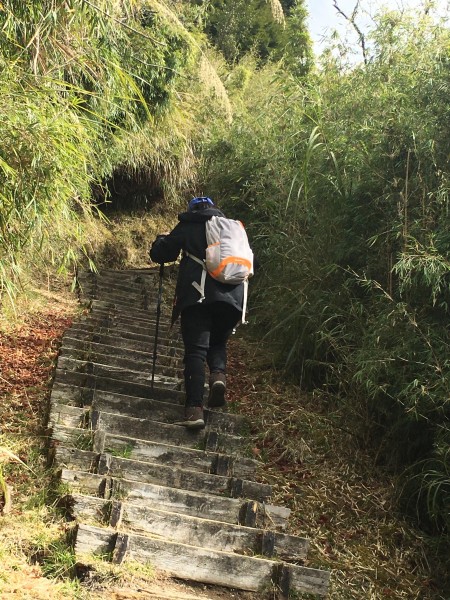 鄒族心目中的聖山大塔山255938